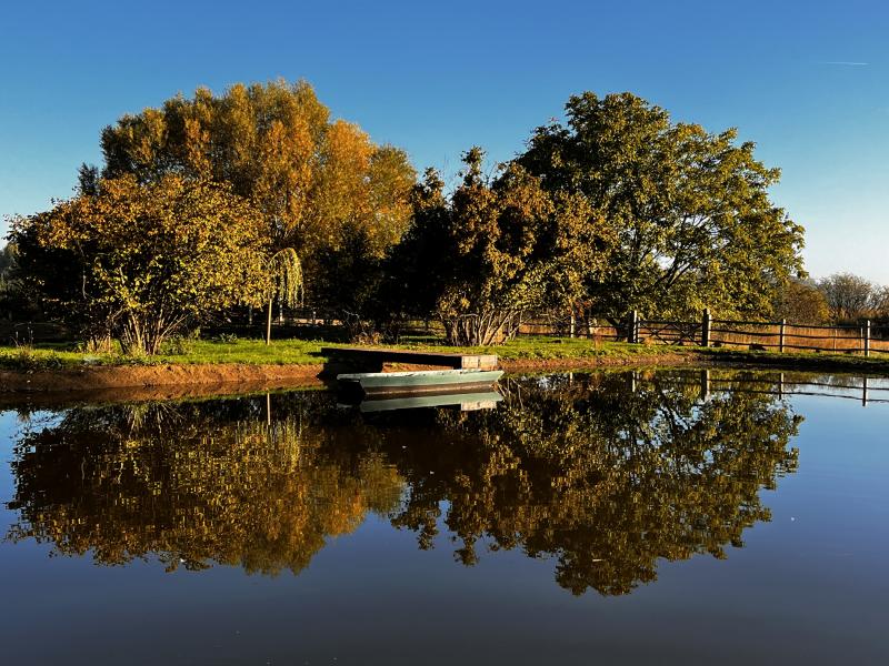 Le Domaine - Wambrechies Le Domaine - Wambrechies